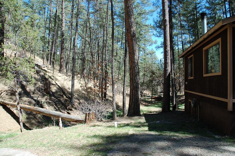 Creek behind 'our cabin'.JPG